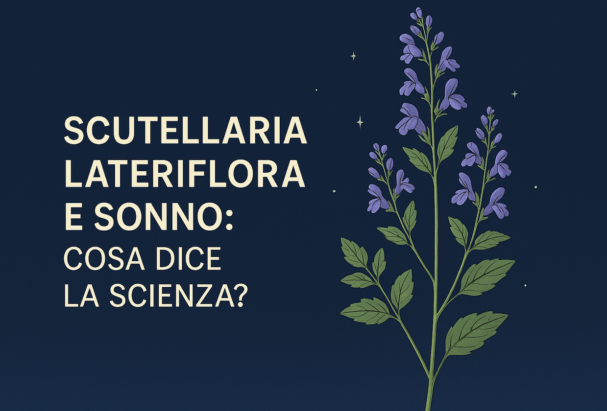 Estratto di Scutellaria lateriflora L. per la gestione del sonno: evidenze da uno studio clinico randomizzato